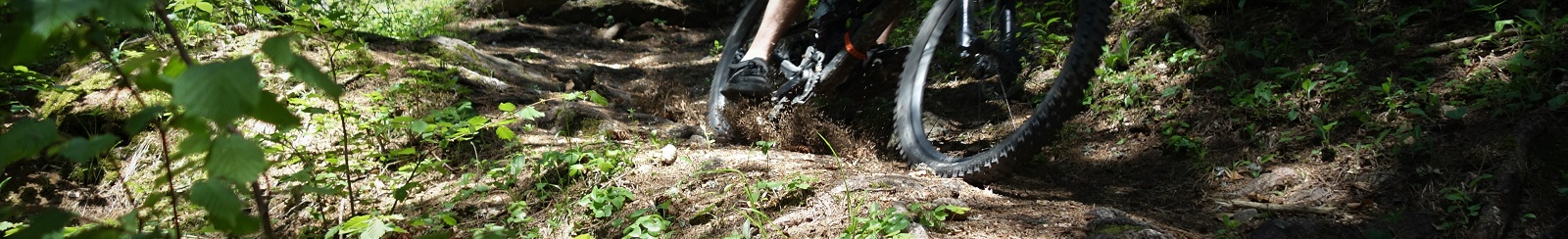 Riding mountain bikes in Chamonix. There's loam in amongst the rocks, roots steep and gnar.