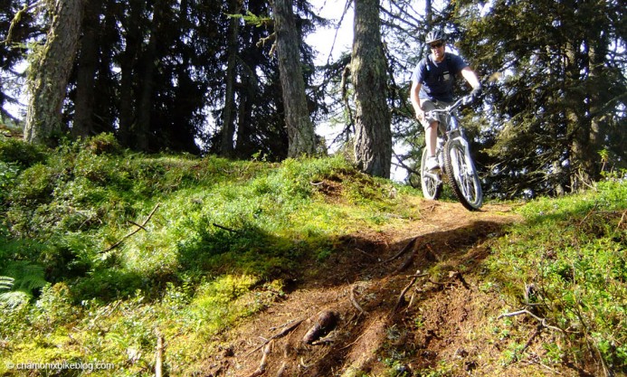 Sunshine, trees, singletrack, roots. What more do you want?