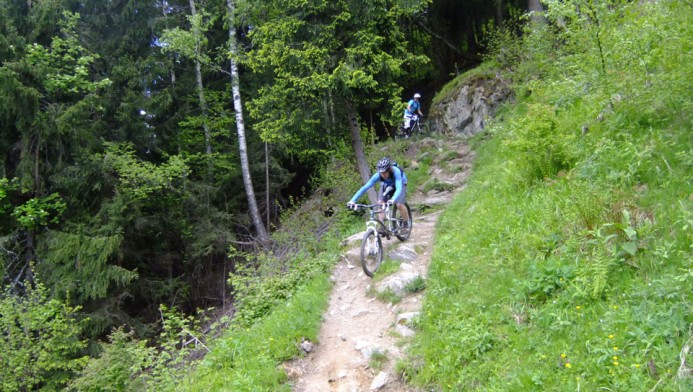 Sandy cruising on the lower Plan trail