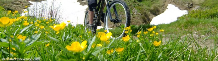 Spring, because there's flowers and snow in the same shot