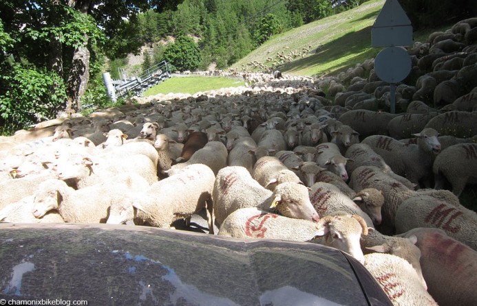 Battling up the Col d'Allos