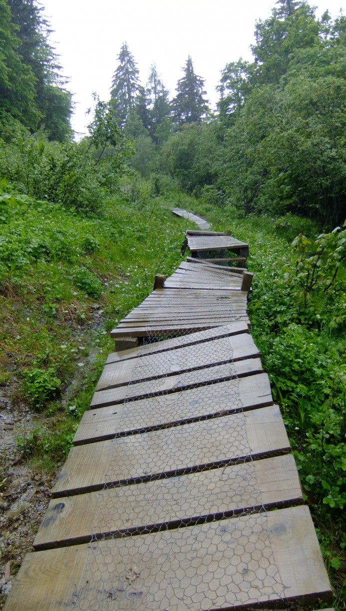 Off-camber, wet boardwalk anyone?