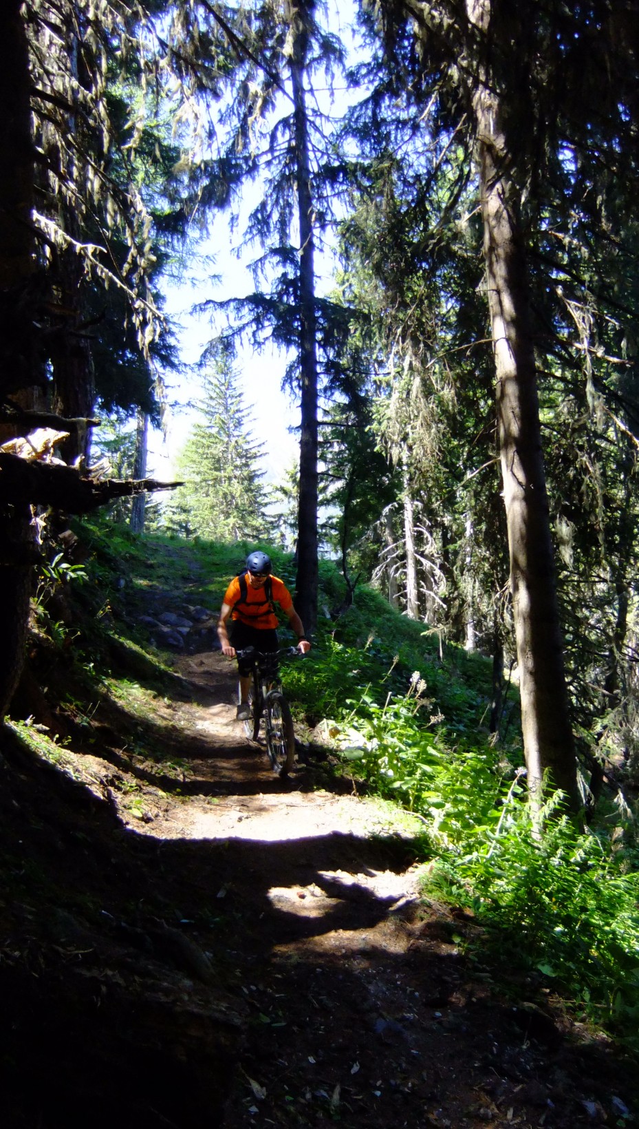 Swiss trails above Chatelard