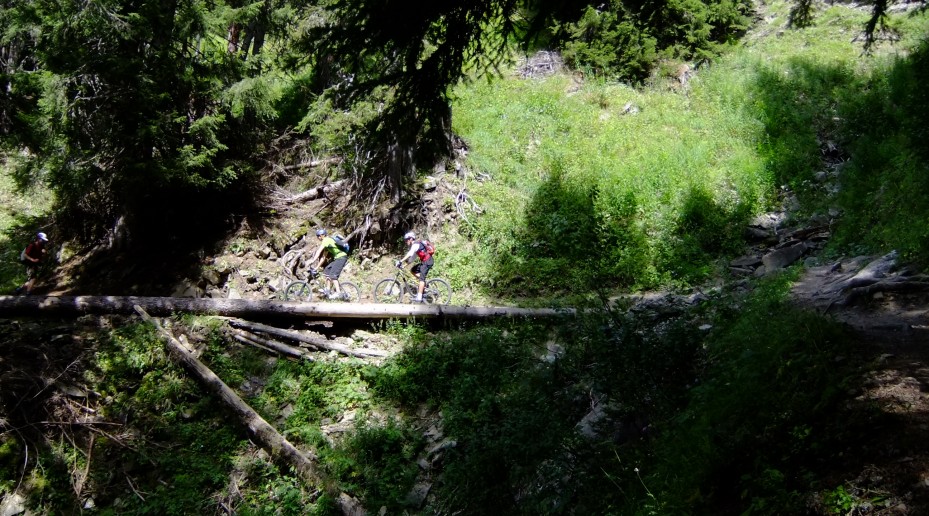 Les Carroz trails
